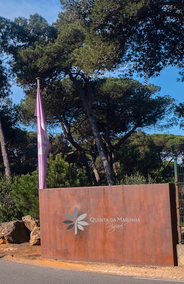 entrada_2